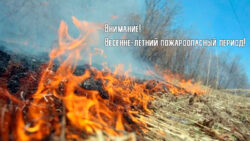 Пожарная безопасность